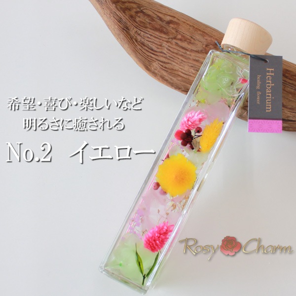 �ϡ��Хꥦ�ࡡ���������ܥȥ���������ץ쥼��ȡ���ǰ���Τ��ˤ��ˡ�