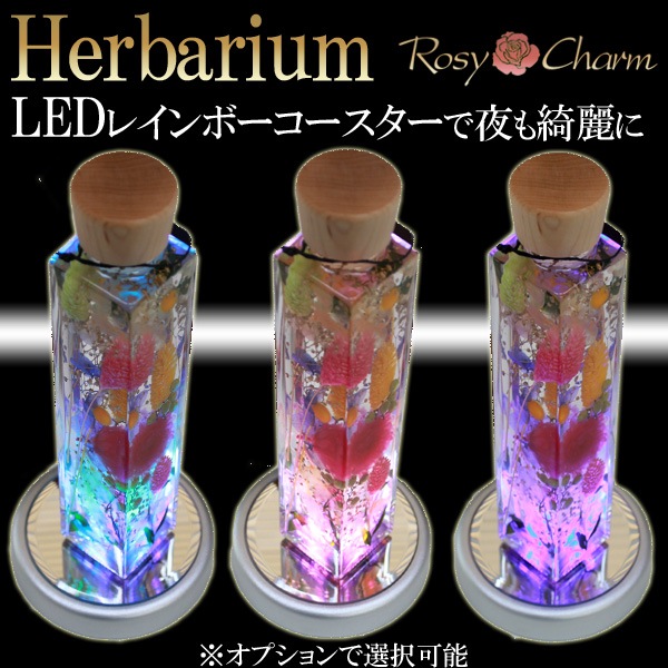 �ϡ��Хꥦ�ࡡ���������ܥȥ���������ץ쥼��ȡ���ǰ���Τ��ˤ��ˡ�