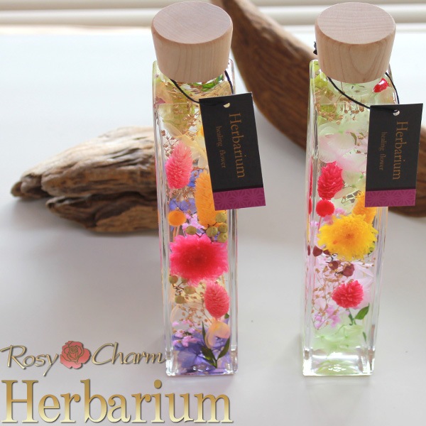 �ϡ��Хꥦ�ࡡ���������ܥȥ���������ץ쥼��ȡ���ǰ���Τ��ˤ��ˡ�