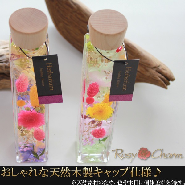 �ϡ��Хꥦ�ࡡ���������ܥȥ���������ץ쥼��ȡ���ǰ���Τ��ˤ��ˡ�