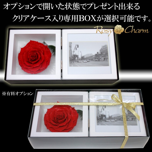 �ե��ȥե졼�� ��������ɥ����� �ץꥶ���֥ɥե��ڼ̿�Ω�ơ��֤��Х�