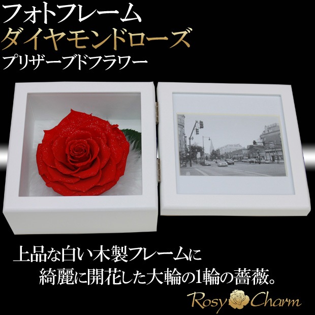 �ե��ȥե졼�� ��������ɥ����� �ץꥶ���֥ɥե��ڼ̿�Ω�ơ��֤��Х�