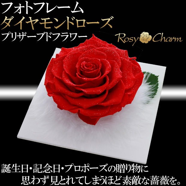 �ե��ȥե졼�� ��������ɥ����� �ץꥶ���֥ɥե��ڼ̿�Ω�ơ��֤��Х�