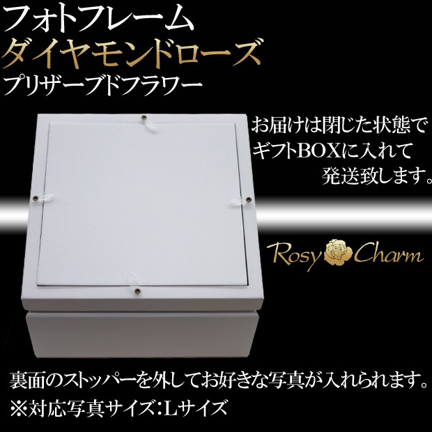  Ĥ鯡åեȥե졼 ɥ ץꥶ֥ɥեڼ̿Ωơ