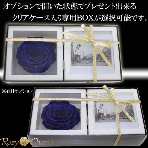  Ĥ鯡åեȥե졼 ɥ ץꥶ֥ɥեڼ̿Ωơ