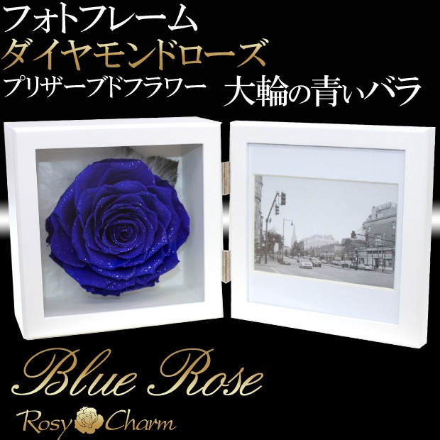  Ĥ鯡åեȥե졼 ɥ ץꥶ֥ɥեڼ̿Ωơ