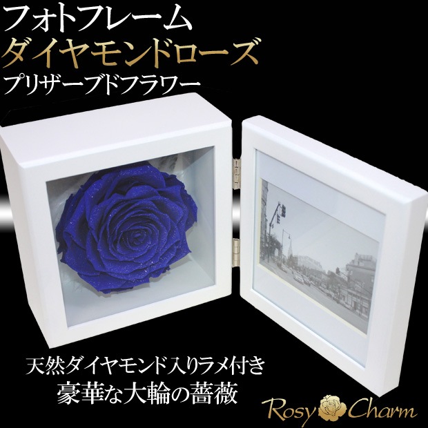  Ĥ鯡åեȥե졼 ɥ ץꥶ֥ɥեڼ̿Ωơ