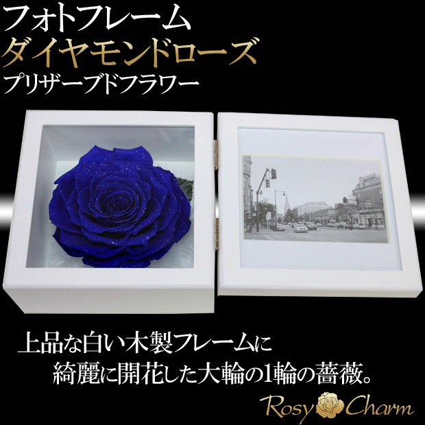  Ĥ鯡åեȥե졼 ɥ ץꥶ֥ɥեڼ̿Ωơ