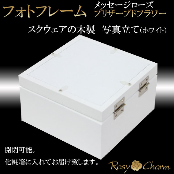  Ĥ鯡åեȥե졼 ɥ ץꥶ֥ɥեڼ̿Ωơ