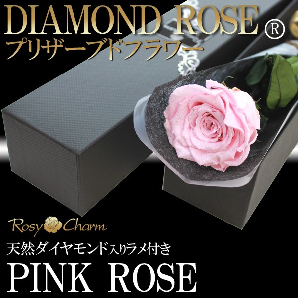 ɥ ץꥶ֥ɥե ԥ󥯤鯡1ܡðؤΥХ