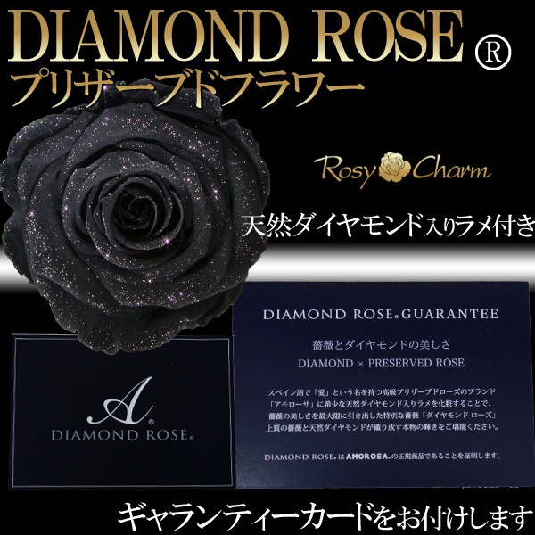 ɥ ץꥶ֥ɥե 鯡1 ڥ֥åۡðؤΥХ