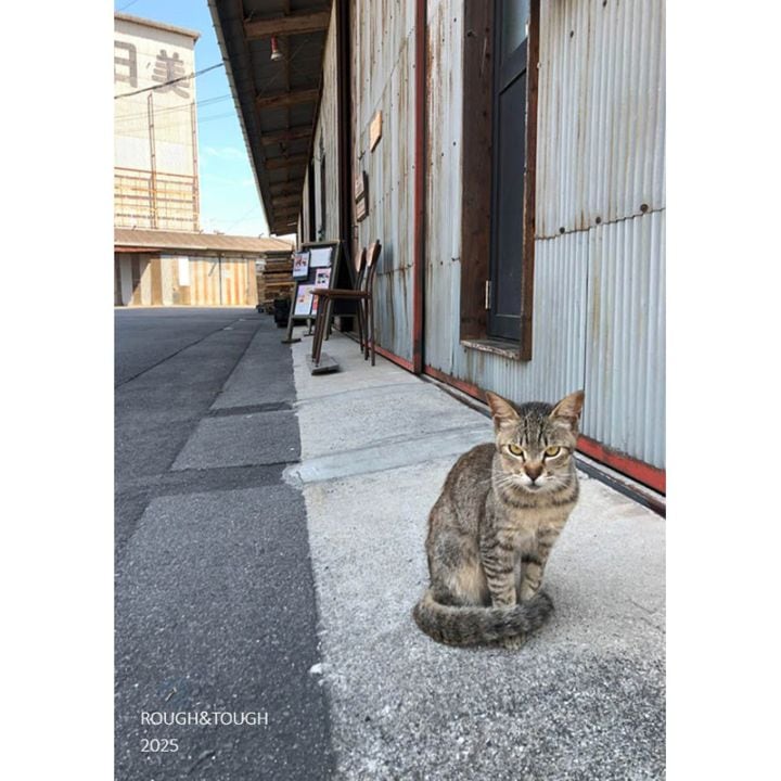 ROUGH&TOUGH CATALOGUE January.2025