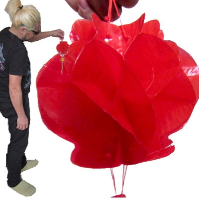 �ӥˡ��� �� ��󥿥� ��14.5cm(�ͥ��ݥ��ز�) �����,����,����,����,�ץ�ǥ�,��ڳ�,���ڻ�,����,��,��,�ޤ����,�ӥˡ���,�ץ饹���å�,�ǥ��졼�����  