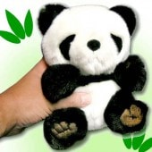 ��֥꡼ �ѥ��  �̤������M/��ʥץ� �ѥ�� ��� ��J-150)�̥������ �äѤ�����å�,���,��ڳ�,�İ���,����󥷥��,���,�֤����,����  