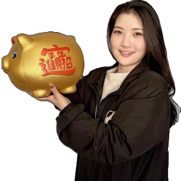 金ブタ貯金箱 12インチ【送料無料】（沖縄別途1000円） | 猪年,亥年