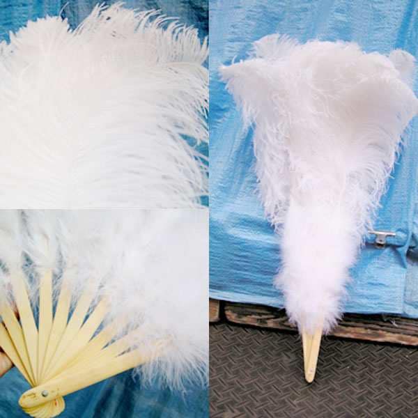 巨大 白ダチョウ羽根扇子 単品販売【送料無料】（沖縄別途1000円