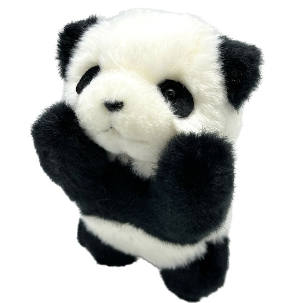 ץѥ礤礤äѤå,̥,Ѥͷ,åѥ,,ڳ,İ,ϤϤ,,֤,