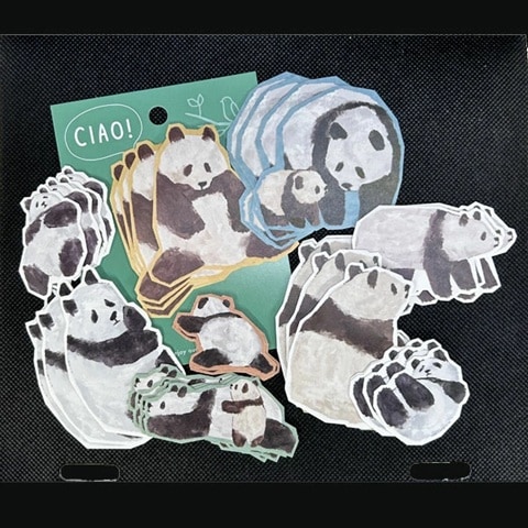 MINDWAVE CIAOステッカーパンダ（緑台紙）81969 【ネコポス便可