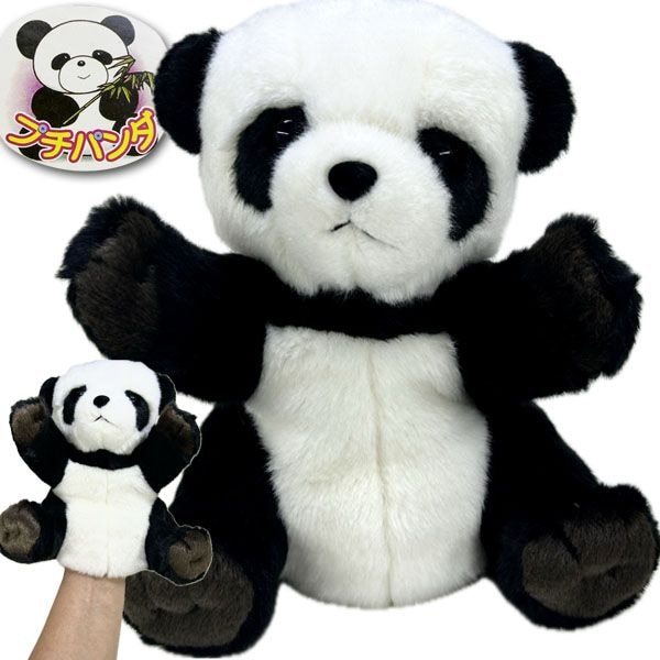 ץѥ̤ߥѥڥå ̵ۡʲ700ߡ takenoko,̥,ͷ,ͷ,Ѥå,̥,,ڳ,İ,󥷥,,֤,ߡ