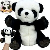 ץѥ̤ߥѥڥå ̵ۡʲ700ߡ takenoko,̥,ͷ,ͷ,Ѥå,̥,,ڳ,İ,󥷥,,֤,ߡ