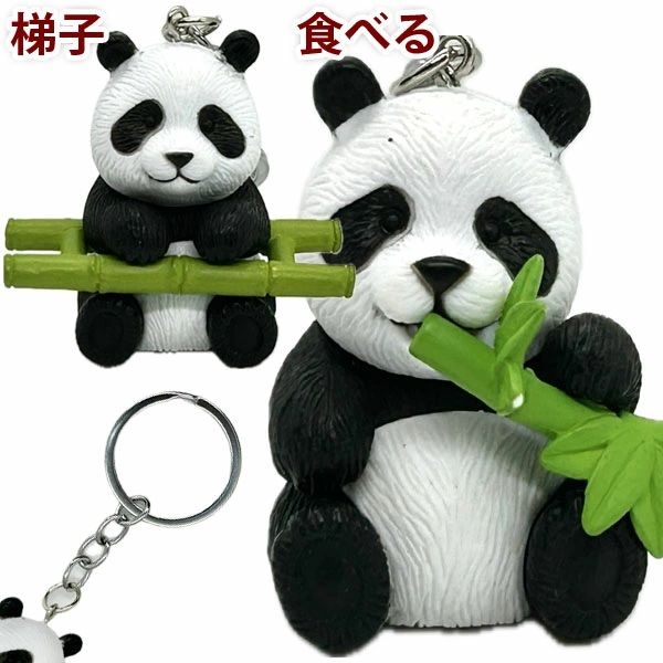 �ѥ���ե����奢�����ۥ����  | �ե����奢,�ͷ�,panda,�Ѥ��,���å�,����,���ɤ��ѥ��,��ʪ,���,��ڳ�,�İ���,���㥤��,������
