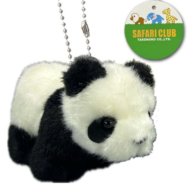 եꥯ֥ѥ B/C 63921  | ̤,̥,ͷ,Ѥ,ܥ,,ڳ,İ,󥷥,,֤,,ץ쥼,ե,