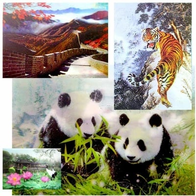 ץ3D⤭Ф볨3DݥB4 ,ڳ,ڻ,å,,Ź,ե.ץ쥼,ץ饹å,ǥ졼