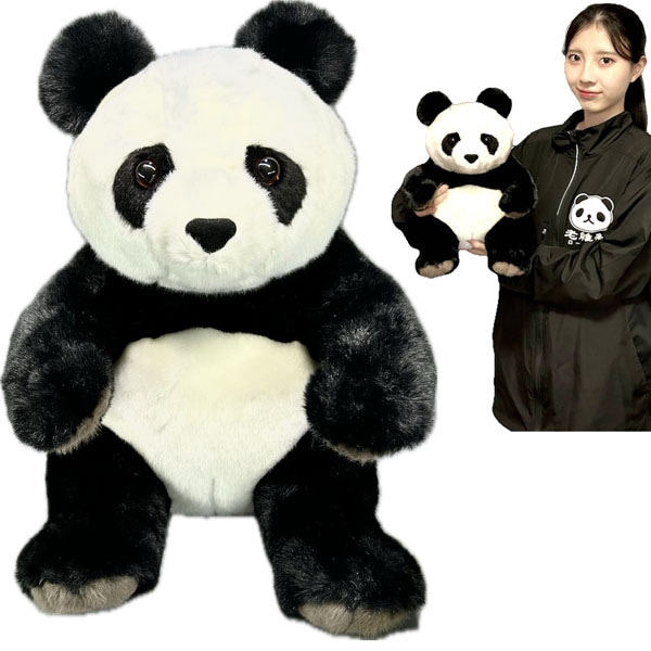 ラッキーパンダぬいぐるみ【M】（35764） 30cm ｜ぱんだグッズ