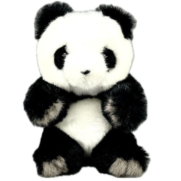 åѥ̤ߡڥߥˡۡ10220 15cm äѤå,̥,Ѥͷ,å,ѥ,,ڳ,İ,,֤,, 