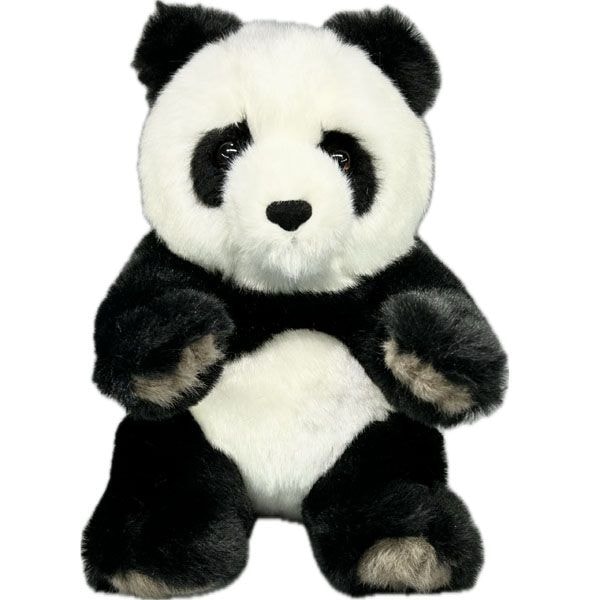 åѥ̤ߡSSۡ1522119cm äѤå,̥,Ѥͷ,å,ѥ,,ڳ,İ,,֤,,