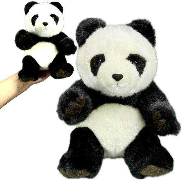 åѥ̤ߡڣӡ(20763) 22cmäѤå,̥,Ѥͷ,å,ѥ,,ڳ,İ,,֤,,