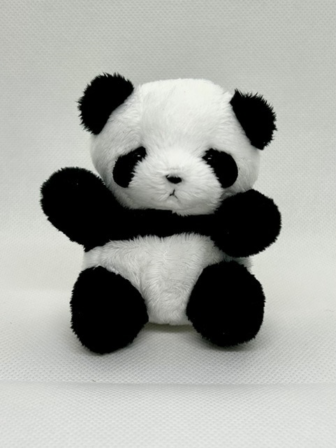 ץѥ٥ӡ̤  |ΤҤ,,,פ,Ѥå,̥,,ڳ,İ,󥷥,,֤,