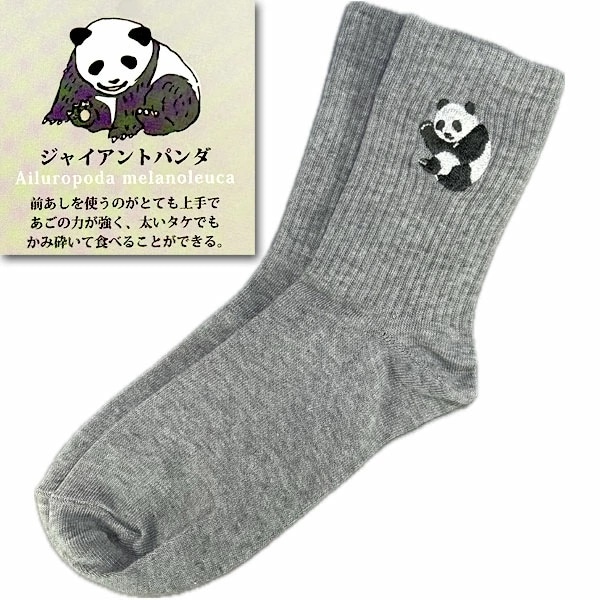 �ѥ���ɽ����롼���å�����ANS019�ˡڥͥ��ݥ��زġۡ÷���,���Ĥ���,���å���,��ǥ�����,�����奢��,�ɽ��ѥ��,�ѥ�����å���,�Ѥ�����Ĥ���,�İ���