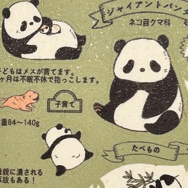 パンダシール dd179feaabb6ae3f78cf37f84a8c9a