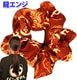 ���㥤�ʥɥ饴�������奷��ڥͥ��ݥ��زġۡ�ζ,�ɥ饴��,ε,ȱ,ȱα��,�إ�����,�إ�������,��ǥ�����,�ޤȤ�ȱ,�ݥˡ��ơ���,�إ������,���å�,���,��ڳ�,