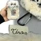 Tino�դ�⤳�ѥ���꡼�륫���ɥ�������TY041�˥ͥ��ݥ��ؤʤ������̵���ۡäѤ�����å�,�ѥ�������,������,������,���ꥢ�ݥ��å�,����ʥ�,�꡼��,���,��ڳ�,�İ���