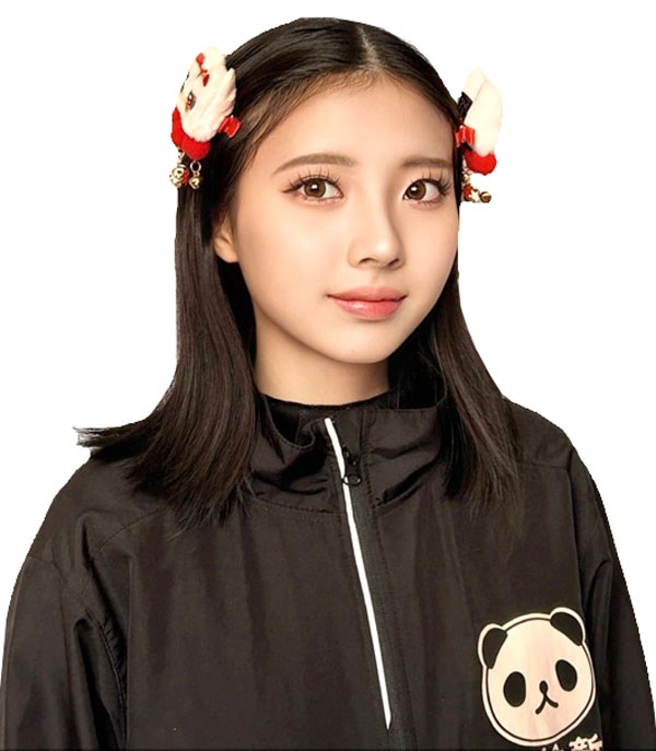 ������ȱ�����2�ĥ��åȡ˥ͥ��ݥ��ؤʤ������̵����  ������,����,���,�饤����,������,�Х�å�,�ԥ�,�ߤ�,�ѥå���,���������꡼,ȱ����,���,��ڳ�,��ȥ�,����,�����ץ�,