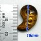 ����ζĦ��ڶ�ζ�ۥ�����������18mm�� �ø�����,��������,�徽,�Ɀ,�Ż���,ƶ����,�ѥ���ȡ���,����,�ɥ饴��,���ꥹ����,�ޤ�����,����,�����ƥ�,  
