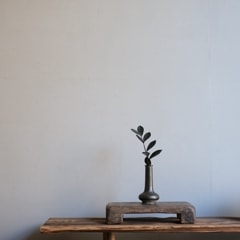 �������ʡ�Ÿ����