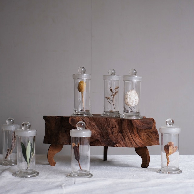 ガラス製 標本瓶2本(現在在庫16本) 種子瓶（標本瓶）イカ型 100mL 60φ×103mm【りかなび