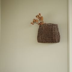 ����ƺ��