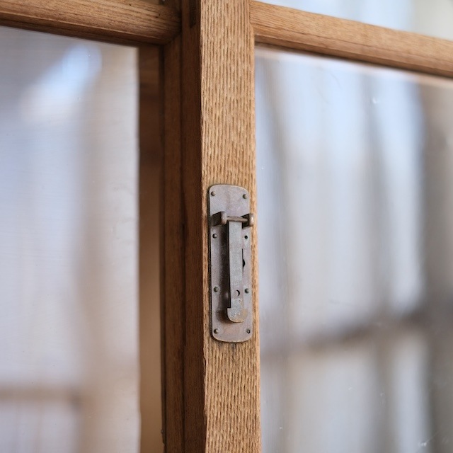 ����ӥͥå�