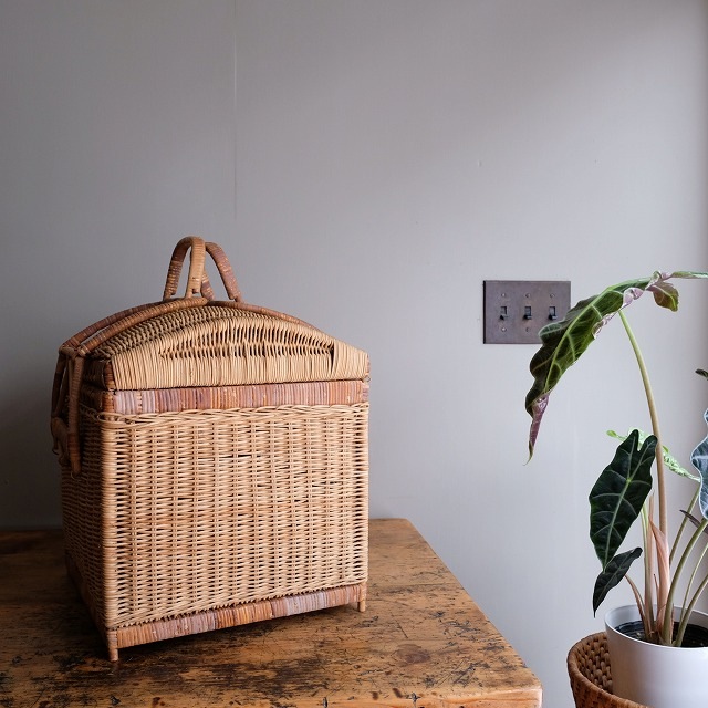 �ۤΥԥ��˥å��Х����å�