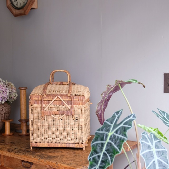 �ۤΥԥ��˥å��Х����å�