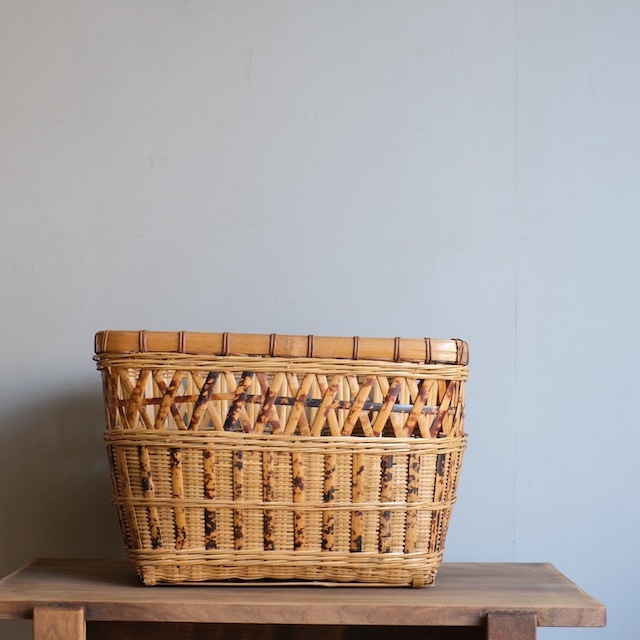 ���ơ�����