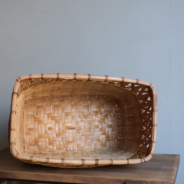 ���ơ�����