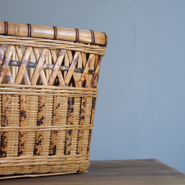 ���ơ�����