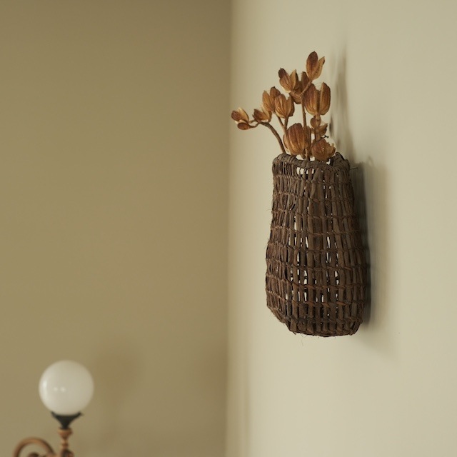 ����ƺ��