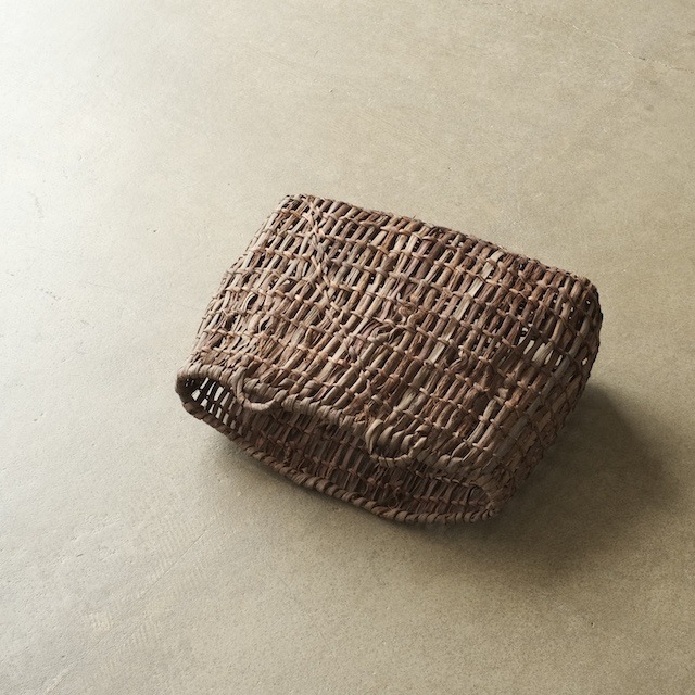 ����ƺ��