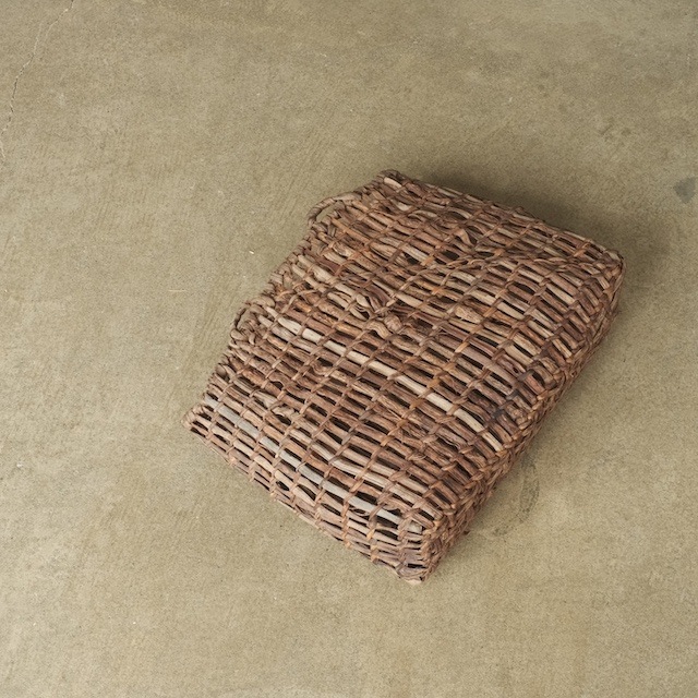 ����ƺ��